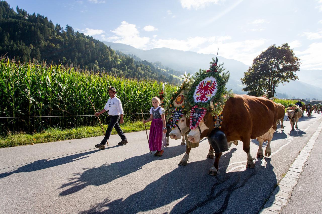 Apart Sprenger Fugen Im Zillertal Daire Dış mekan fotoğraf